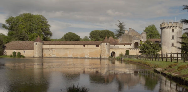 Immerse yourself in the world of Saphir Médaille d'Or