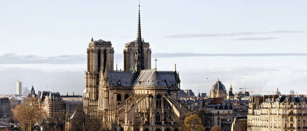 Our Lady of Paris will rise again - Saphir Médaille d'Or